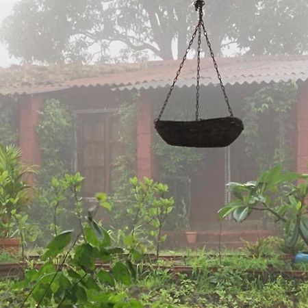 Siddhadham - Farm Stay & Wellness Retreat 나식 외부 사진